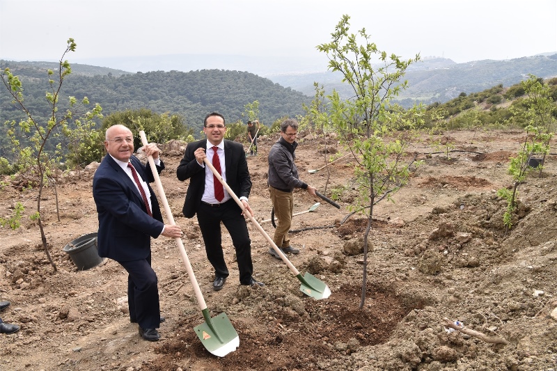 Gönüllü doğaseverler