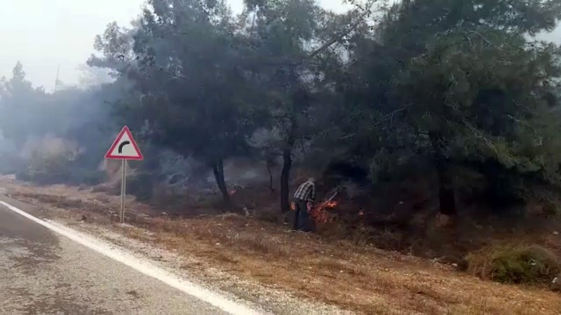 Foça alev alev