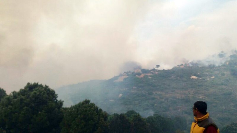 Foça alev alev