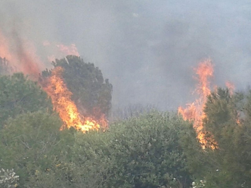 Foça alev alev