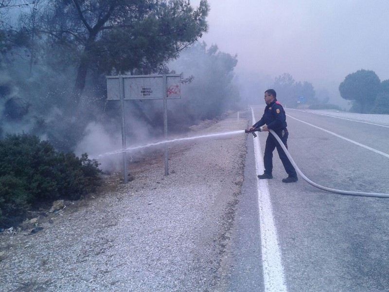 Foça alev alev