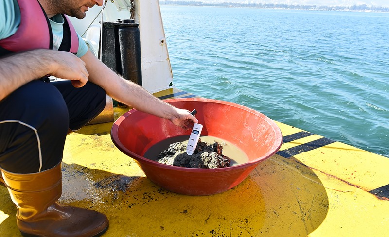 Bu kare İzmir Körfezi'nden