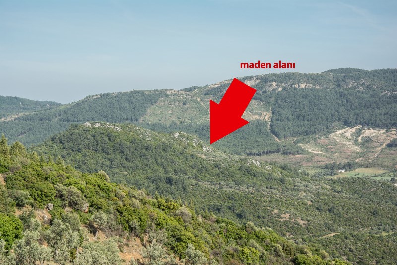 'Sakin Şehir' ayaklandı