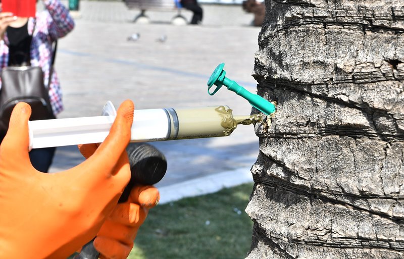 İzmir'in simgelerine 'endoterapi'