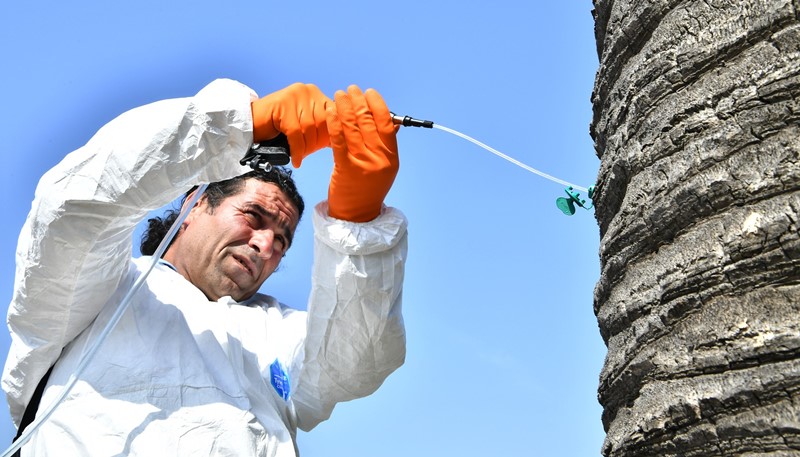 İzmir'in simgelerine 'endoterapi'