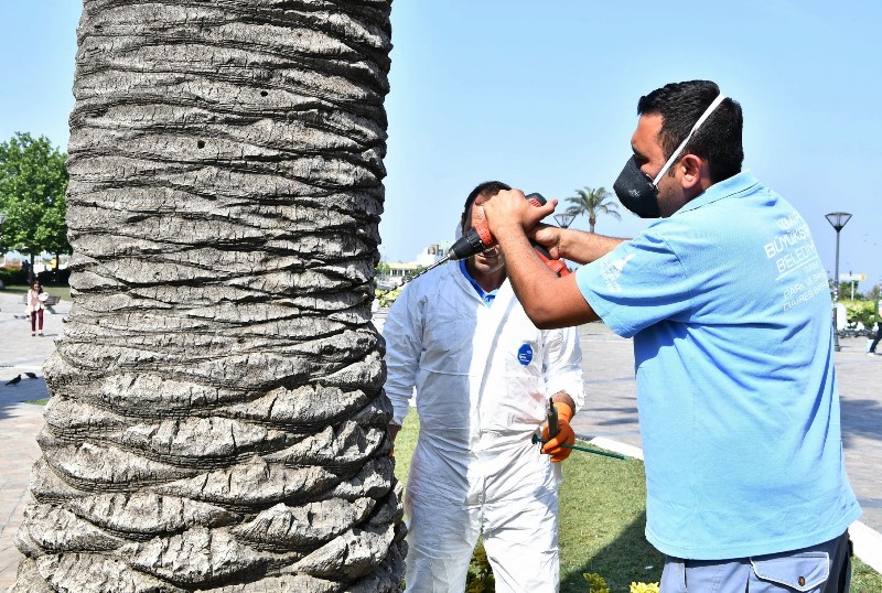 İzmir'in simgelerine 'endoterapi'
