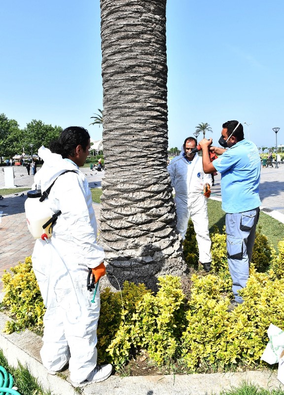 İzmir'in simgelerine 'endoterapi'