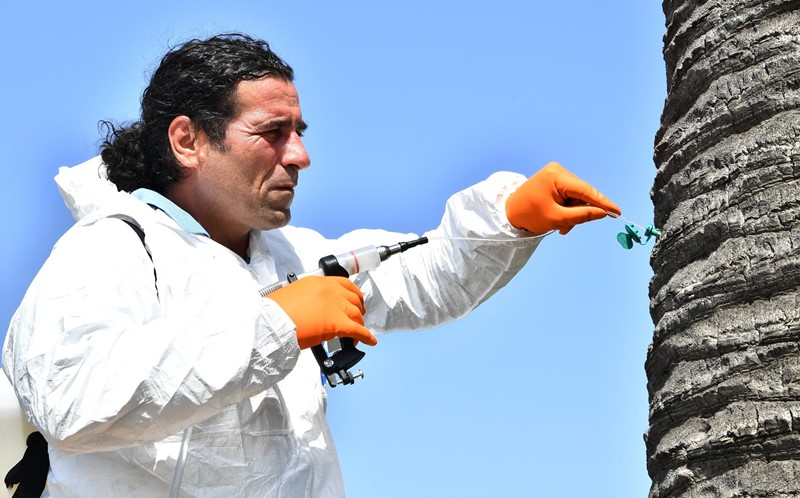 İzmir'in simgelerine 'endoterapi'