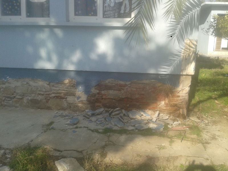 Çiçek gibi oldu