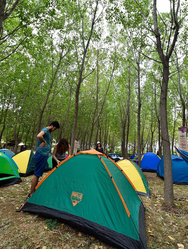 Bu festival gençlerin