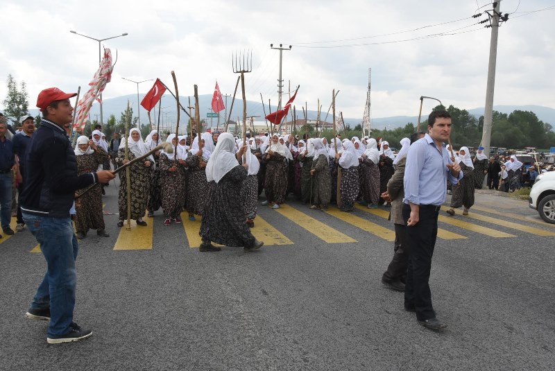 Tırmık, orak, balta alıp yolu kestiler