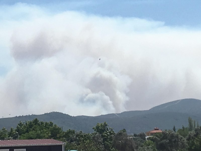 İzmir'de orman yangını