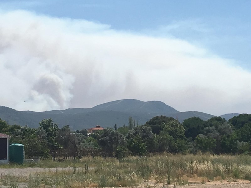 İzmir'de orman yangını