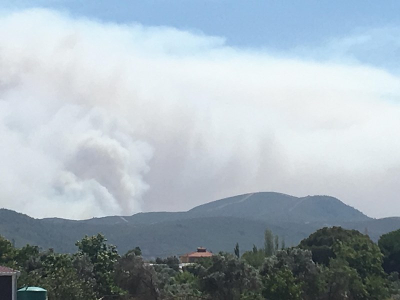İzmir'de orman yangını