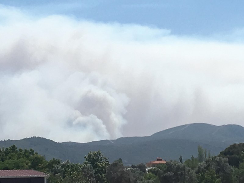 İzmir'de orman yangını