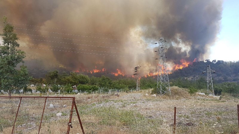 İzmir'de orman yangını