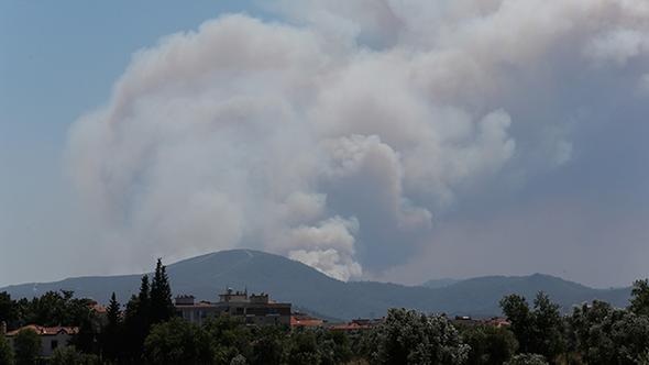 İzmir'de orman yangını