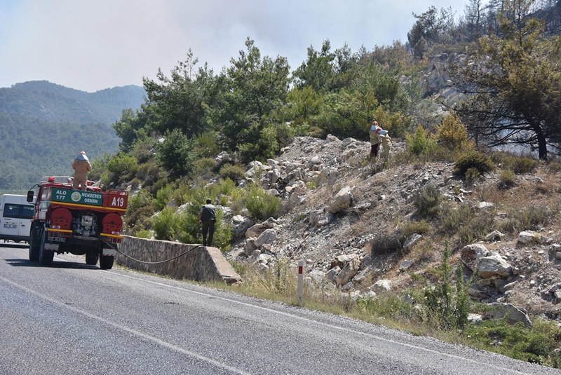İzmir'de orman yangını