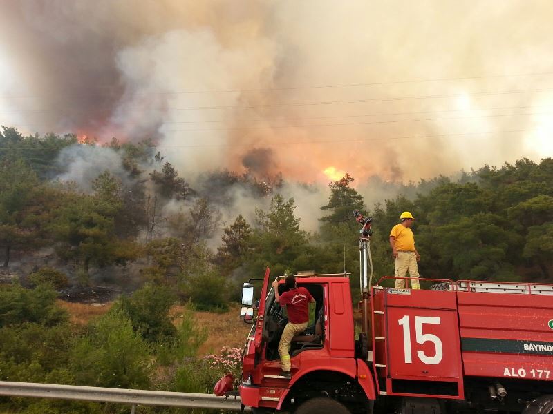 İzmir'de orman yangını