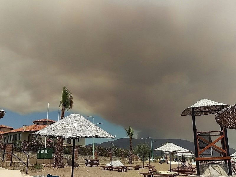 İzmir'de orman yangını