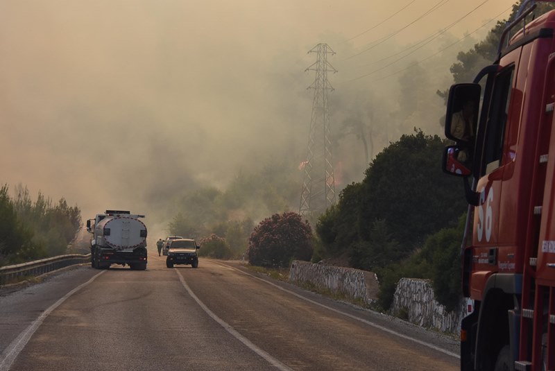 İzmir'de orman yangını