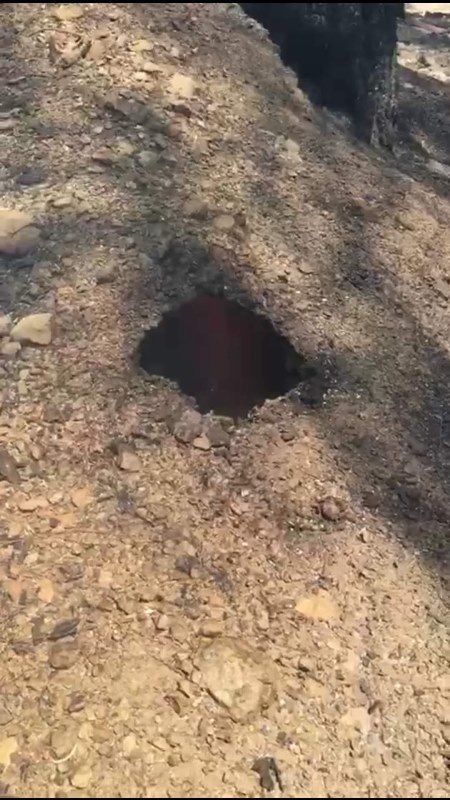 İzmir'deki yangından korkunç manzaralar