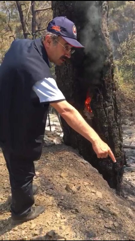 İzmir'deki yangından korkunç manzaralar