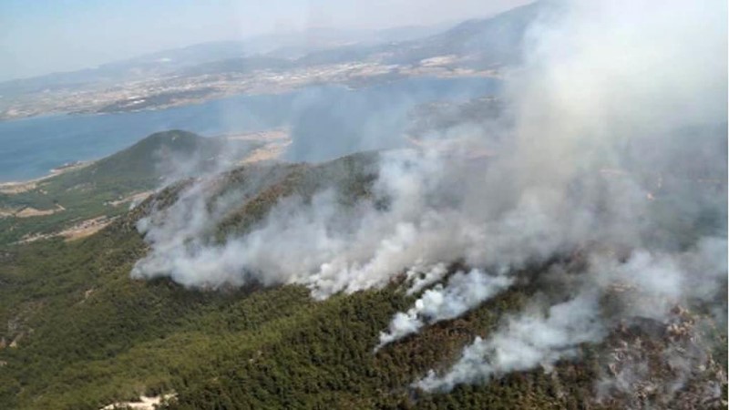 İzmir'deki yangından korkunç manzaralar