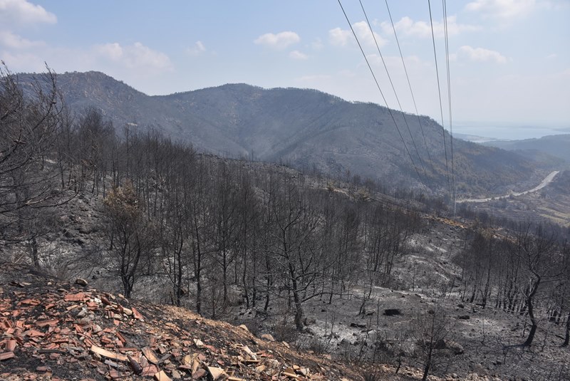 İzmir'deki yangından korkunç manzaralar