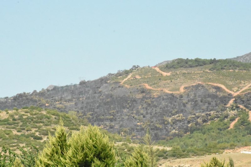 Karşıyaka'da orman yangını