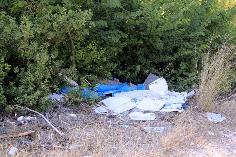 Ormanda pes dedirten görüntüler