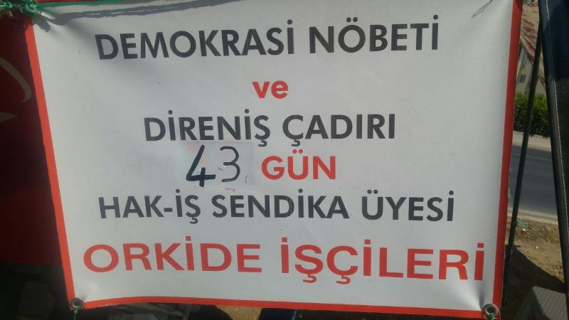 Orkide çalışanları 43 gündür eylemde