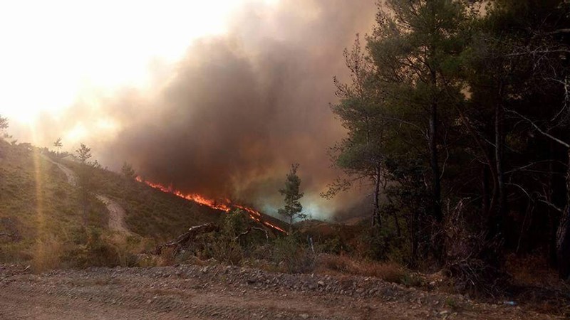 Bayındır ormanları alev alev