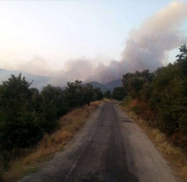 Bayındır ormanları alev alev