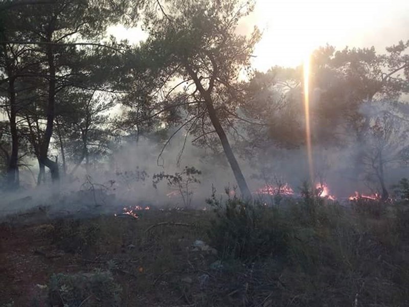 Bayındır ormanları alev alev