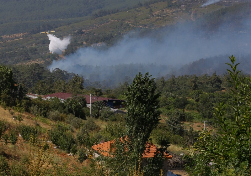 Bayındır'da yürek yakan tablo