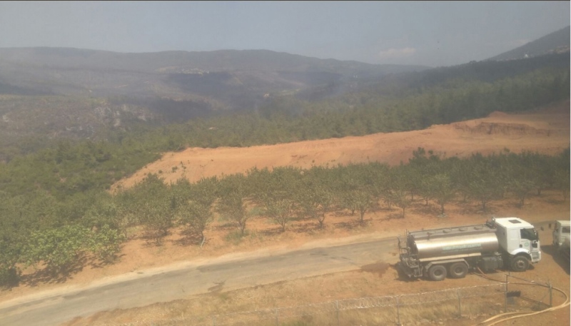 İzmir'in ciğerleri kül oldu