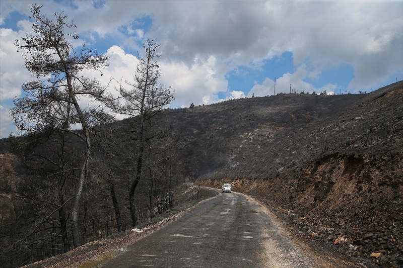 İzmir'in ciğerleri kül oldu