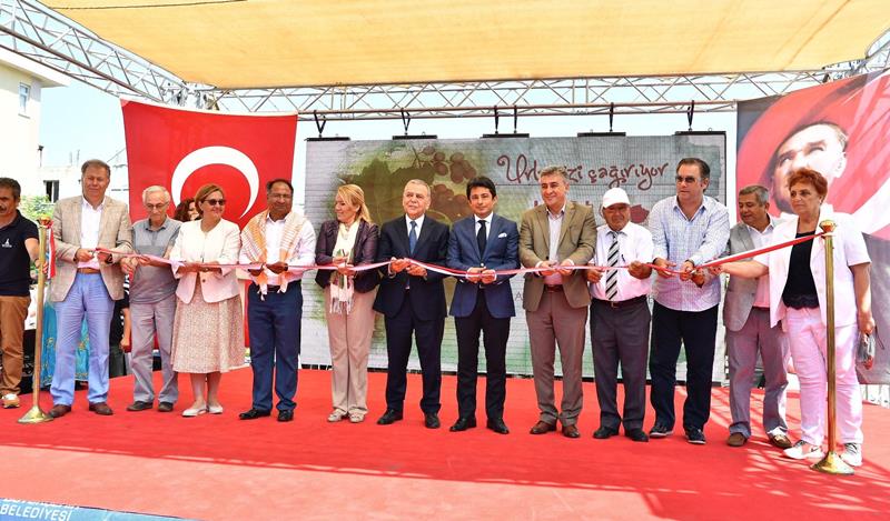 Urla'da bağbozumu zamanı