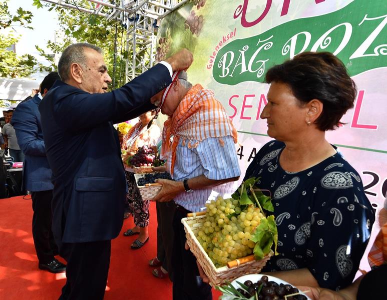 Urla'da bağbozumu zamanı