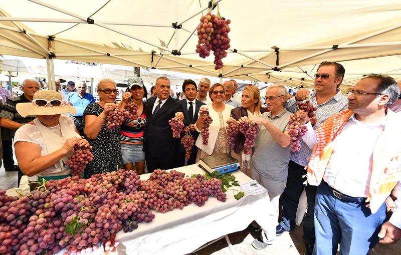 Urla'da bağbozumu zamanı