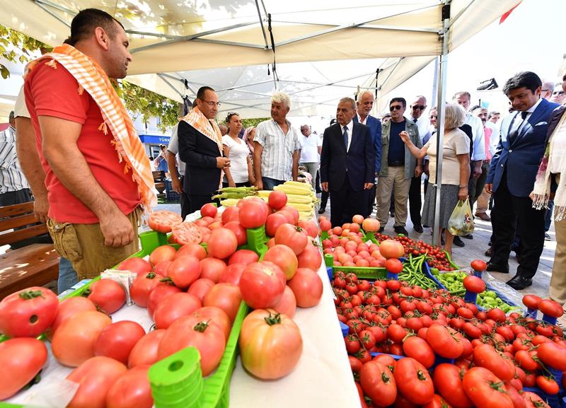 Urla'da bağbozumu zamanı