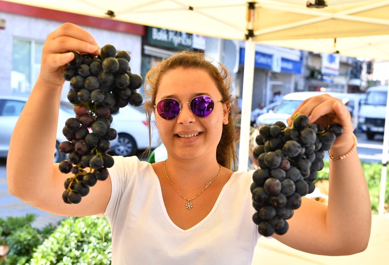 Urla'da bağbozumu zamanı