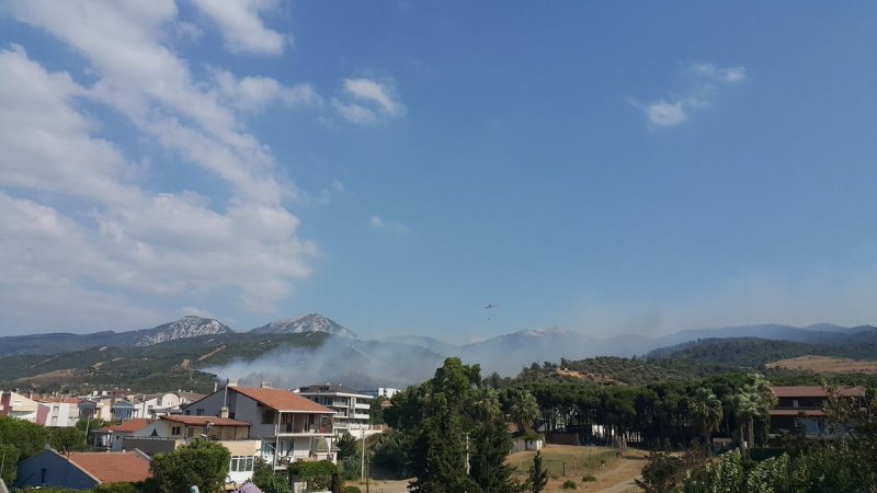 İzmir'de korkutan yangın...