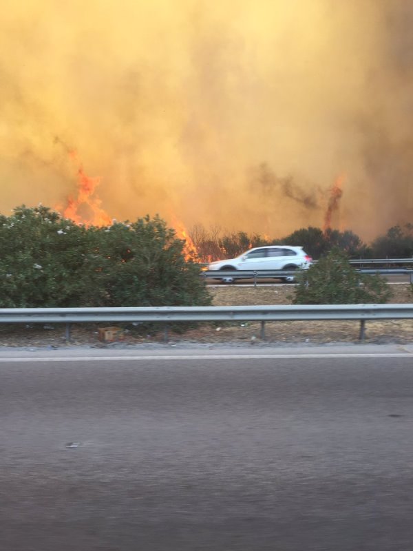 İzmir'de korkutan yangın...