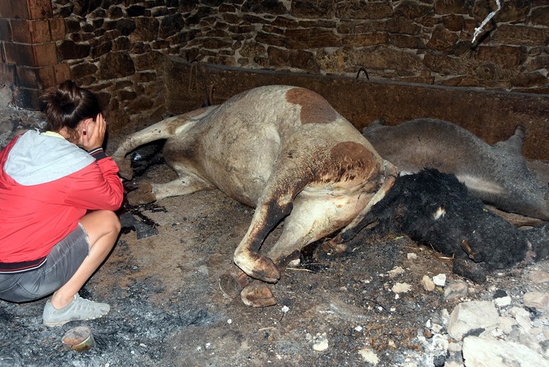 Muğla'da yangın faciası