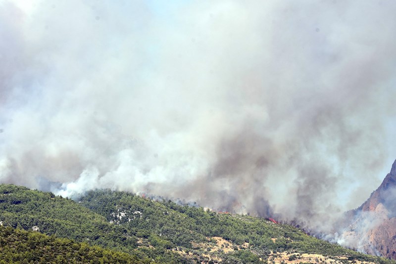 Muğla'da yangın faciası