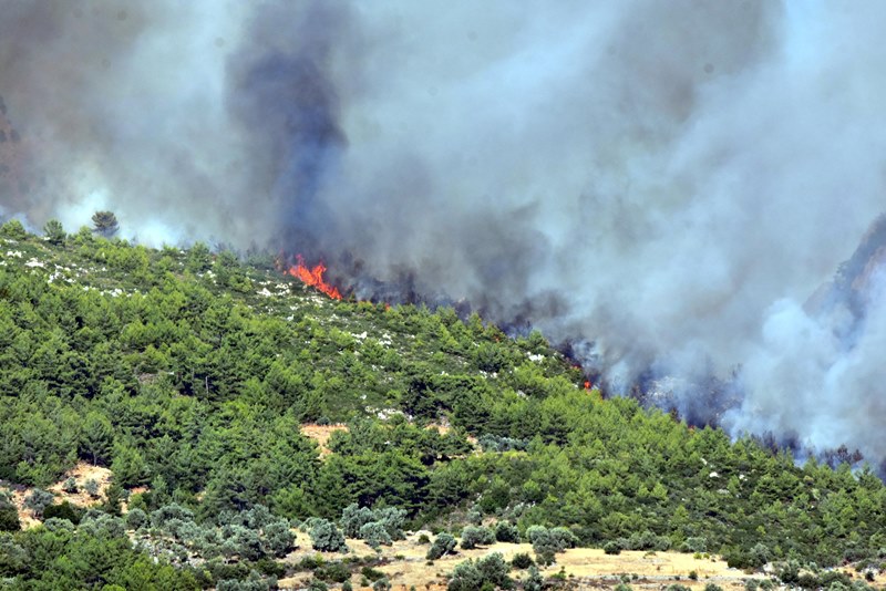 Muğla'da yangın faciası