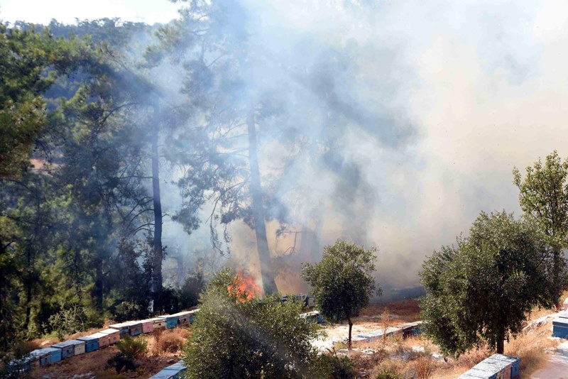 Muğla'da yangın faciası