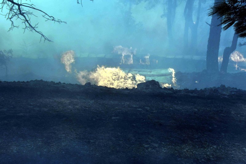 Muğla'da yangın faciası